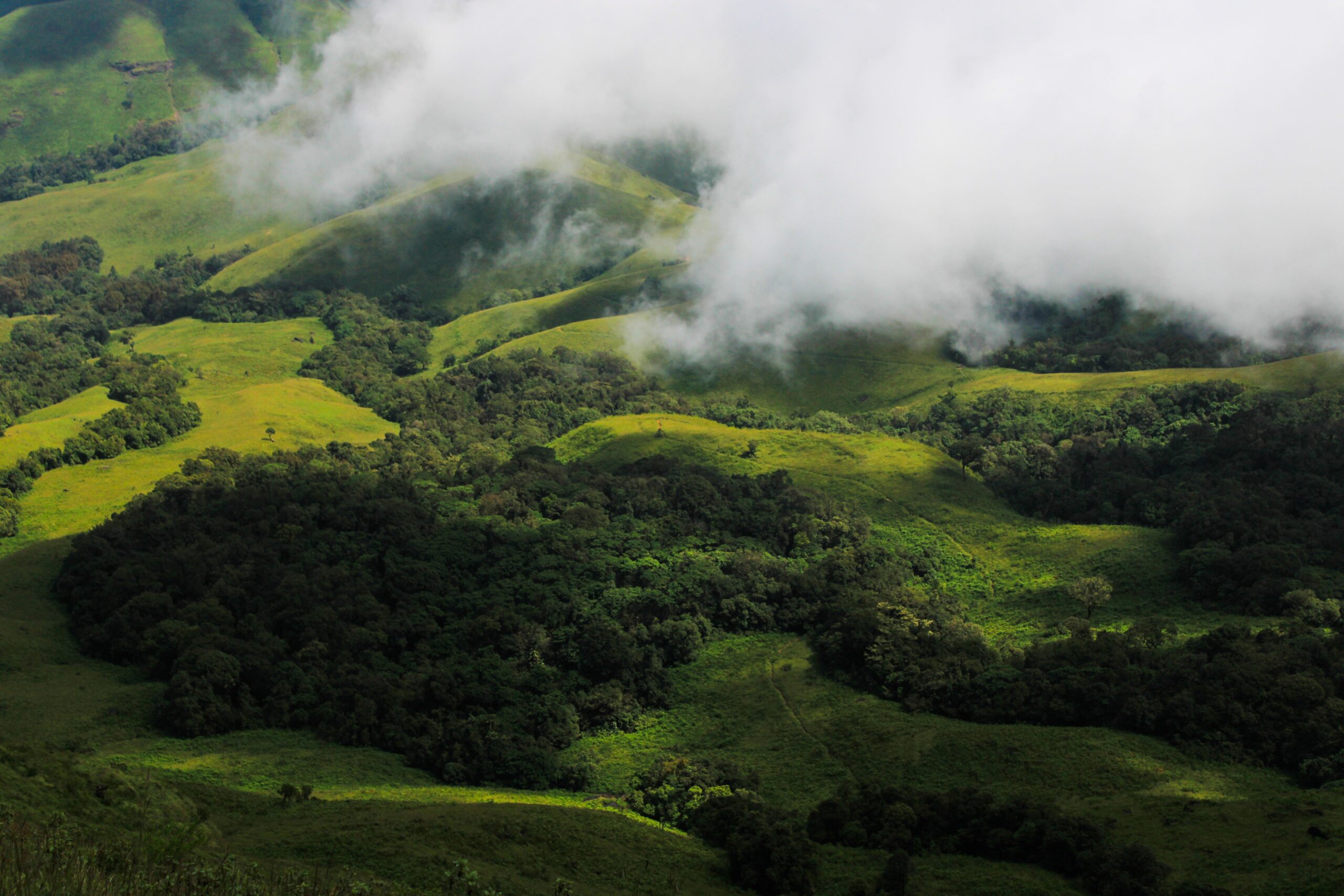 Bangalore to Chikmagalur
